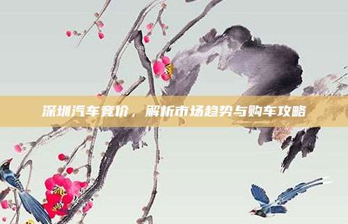 深圳汽车竞价,解析市场趋势与购车攻略