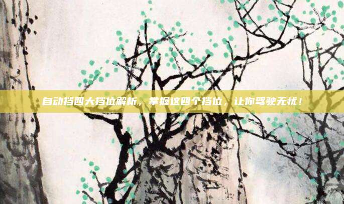 自动挡四大挡位解析,掌握这四个挡位,让你驾驶无忧!