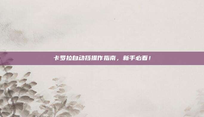 卡罗拉自动挡操作指南,新手必看!