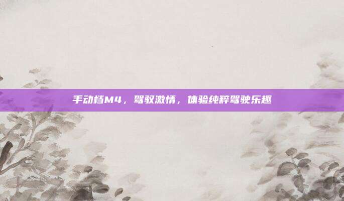 手动档M4,驾驭激情,体验纯粹驾驶乐趣