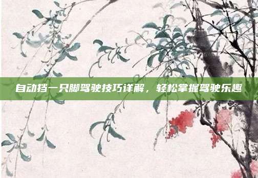 自动挡一只脚驾驶技巧详解,轻松掌握驾驶乐趣