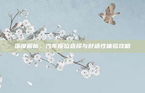 深度解析，汽车座位选择与舒适性体验攻略