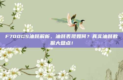 F700GS油耗解析,油耗表现如何?真实油耗数据大盘点!