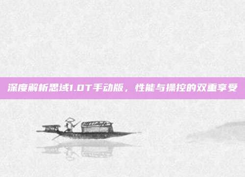 深度解析思域1.0T手动版,性能与操控的双重享受