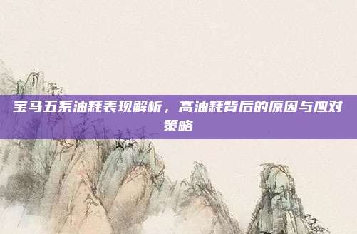 宝马五系油耗表现解析,高油耗背后的原因与应对策略
