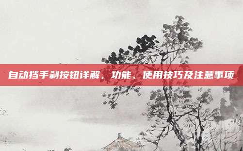 自动挡手刹按钮详解,功能、使用技巧及注意事项