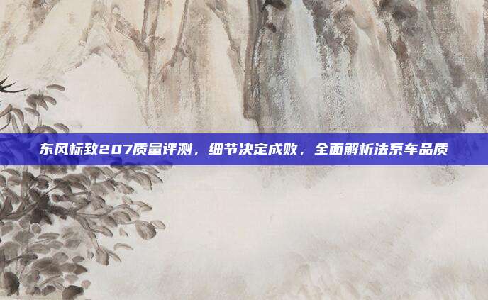 东风标致207质量评测,细节决定成败,全面解析法系车品质