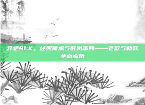 奔驰SLK,经典传承与时尚革新——老款与新款全面解析