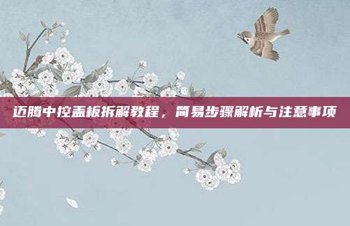 迈腾中控盖板拆解教程,简易步骤解析与注意事项