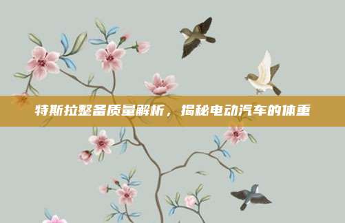 特斯拉整备质量解析，揭秘电动汽车的体重