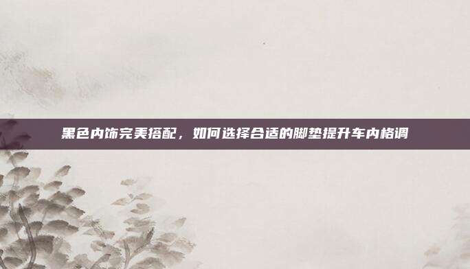 黑色内饰完美搭配，如何选择合适的脚垫提升车内格调