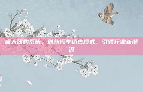 盛大团购系统，创新汽车销售模式，引领行业新潮流