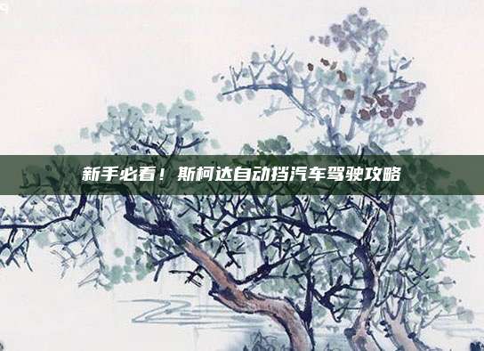 新手必看!斯柯达自动挡汽车驾驶攻略