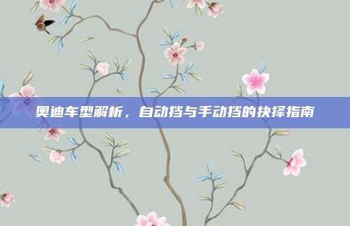 奥迪车型解析,自动挡与手动挡的抉择指南