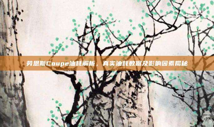 劳恩斯Coupe油耗解析，真实油耗数据及影响因素揭秘