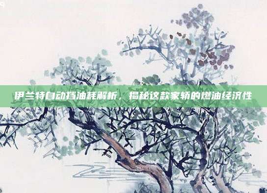 伊兰特自动挡油耗解析,揭秘这款家轿的燃油经济性
