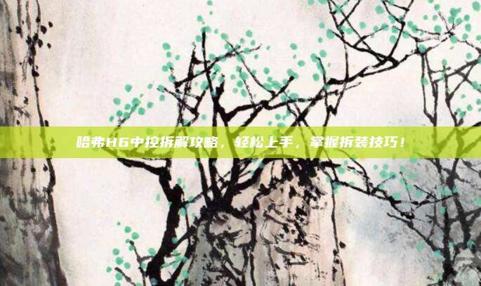 哈弗H6中控拆解攻略，轻松上手，掌握拆装技巧！