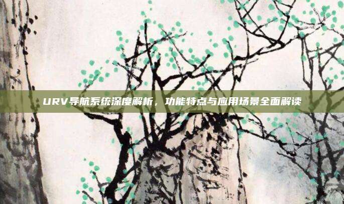 URV导航系统深度解析，功能特点与应用场景全面解读
