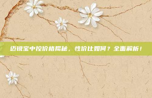 迈锐宝中控价格揭秘,性价比如何?全面解析!