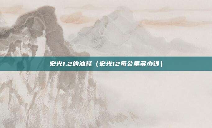宏光1.2的油耗（宏光12每公里多少钱）