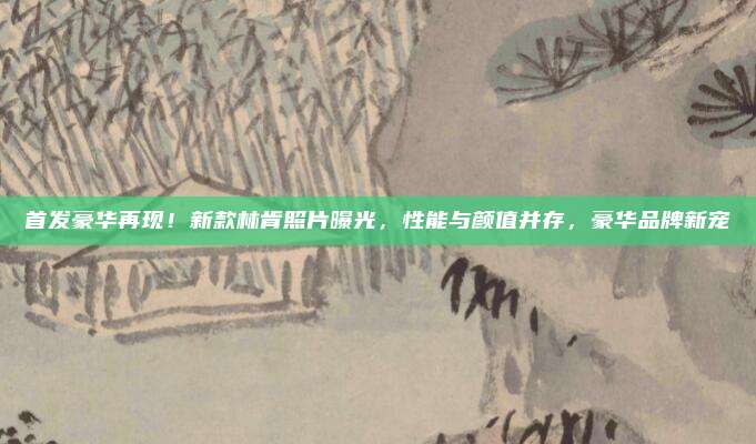 首发豪华再现!新款林肯照片曝光,性能与颜值并存,豪华品牌新宠