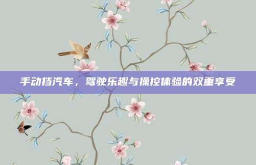手动挡汽车，驾驶乐趣与操控体验的双重享受
