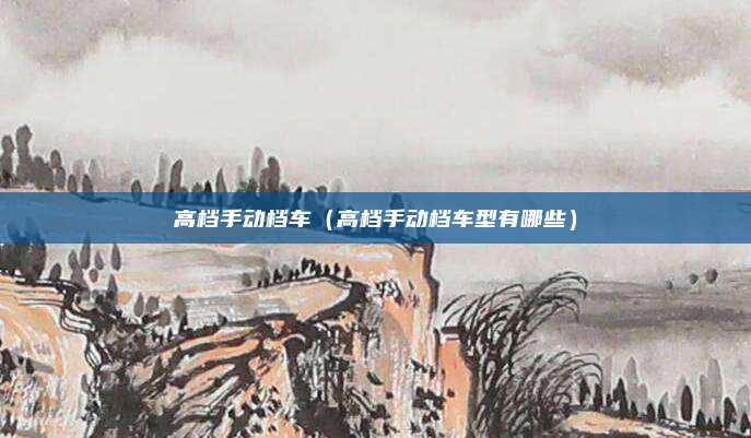 高档手动档车（高档手动档车型有哪些）