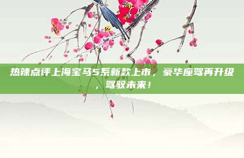 热辣点评上海宝马5系新款上市，豪华座驾再升级，驾驭未来！