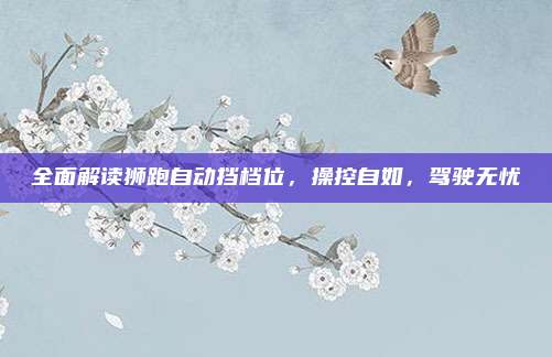全面解读狮跑自动挡档位，操控自如，驾驶无忧