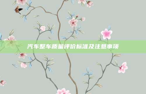 汽车整车质量评价标准及注意事项