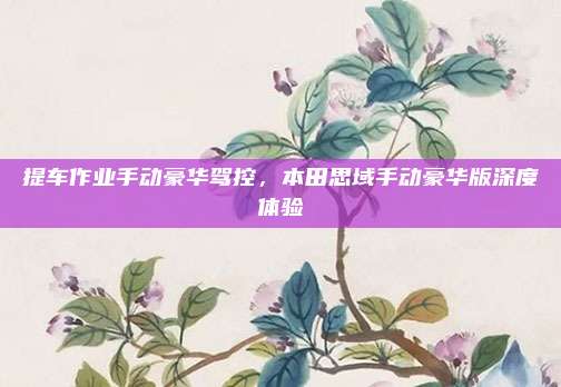 提车作业手动豪华驾控，本田思域手动豪华版深度体验