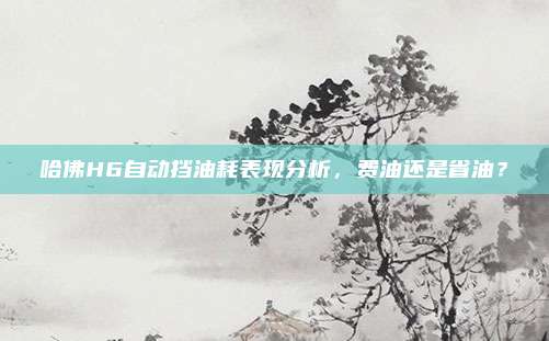 哈佛H6自动挡油耗表现分析，费油还是省油？