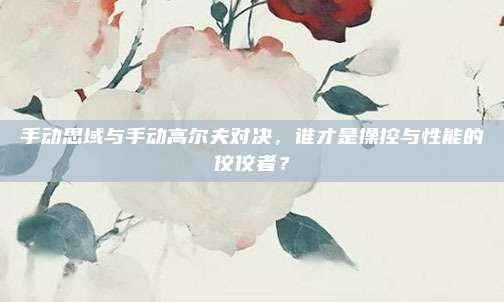 手动思域与手动高尔夫对决，谁才是操控与性能的佼佼者？