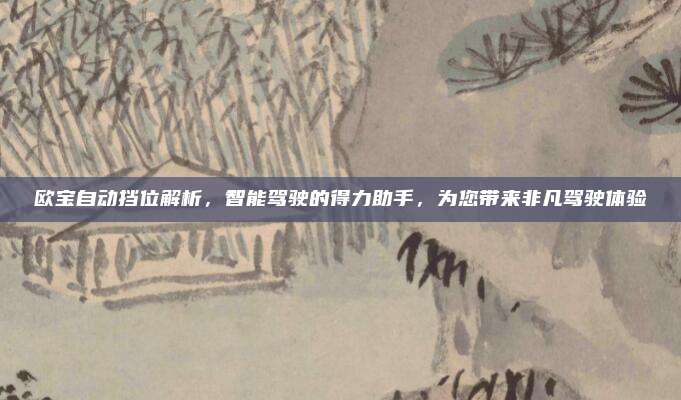 欧宝自动挡位解析，智能驾驶的得力助手，为您带来非凡驾驶体验
