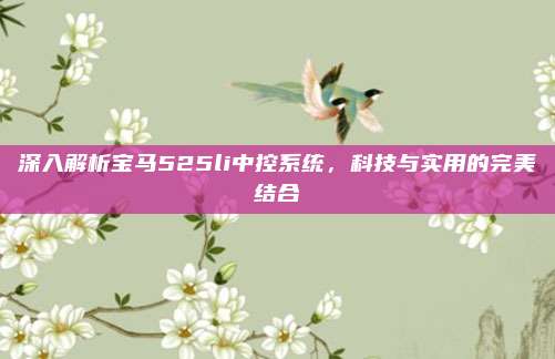 深入解析宝马525li中控系统，科技与实用的完美结合