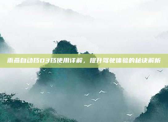 雨燕自动挡D3挡使用详解，提升驾驶体验的秘诀解析