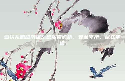 雪铁龙凯旋防盗系统深度解析,安全守护,尽在掌握