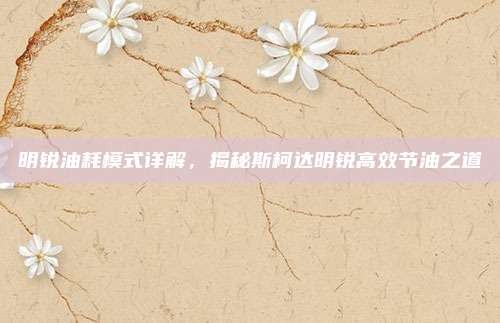 明锐油耗模式详解，揭秘斯柯达明锐高效节油之道