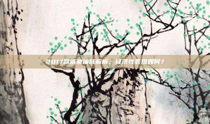2017款威驰油耗解析，经济性表现如何？