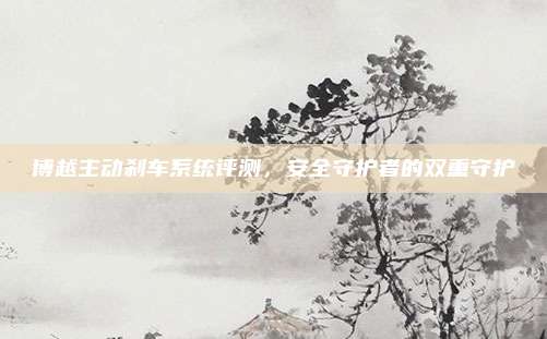 博越主动刹车系统评测，安全守护者的双重守护
