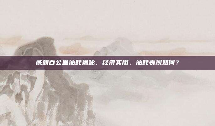 威朗百公里油耗揭秘，经济实用，油耗表现如何？