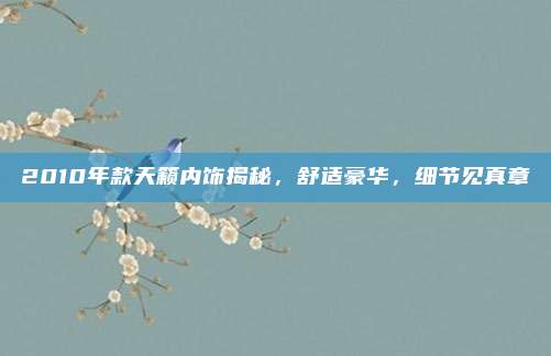 2010年款天籁内饰揭秘，舒适豪华，细节见真章
