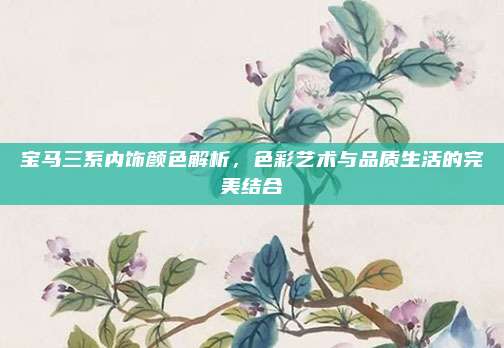 宝马三系内饰颜色解析，色彩艺术与品质生活的完美结合