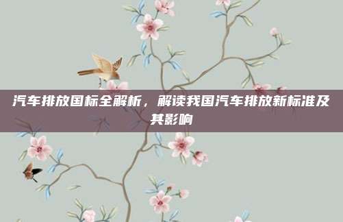 汽车排放国标全解析，解读我国汽车排放新标准及其影响