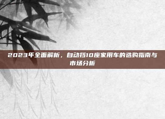 2023年全面解析，自动挡10座家用车的选购指南与市场分析