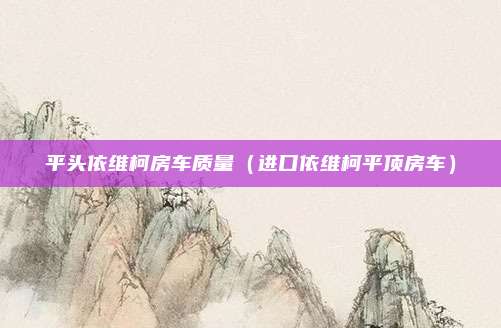 平头依维柯房车质量(进口依维柯平顶房车)