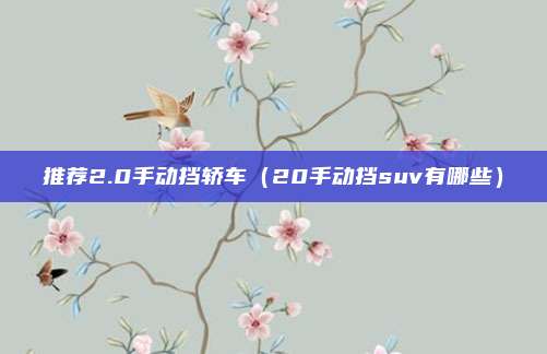 推荐2.0手动挡轿车（20手动挡suv有哪些）