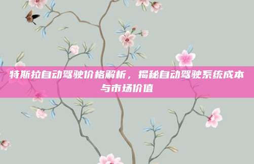 特斯拉自动驾驶价格解析，揭秘自动驾驶系统成本与市场价值