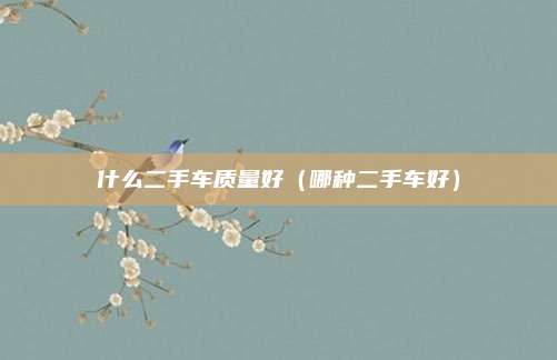 什么二手车质量好（哪种二手车好）
