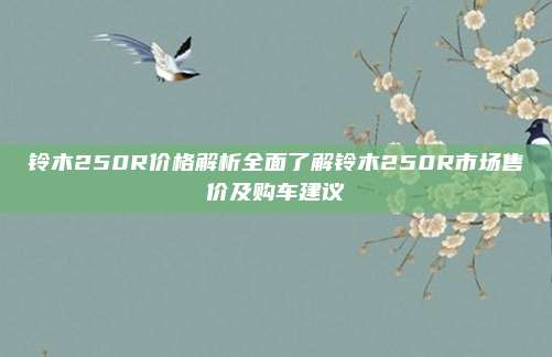 铃木250R价格解析全面了解铃木250R市场售价及购车建议